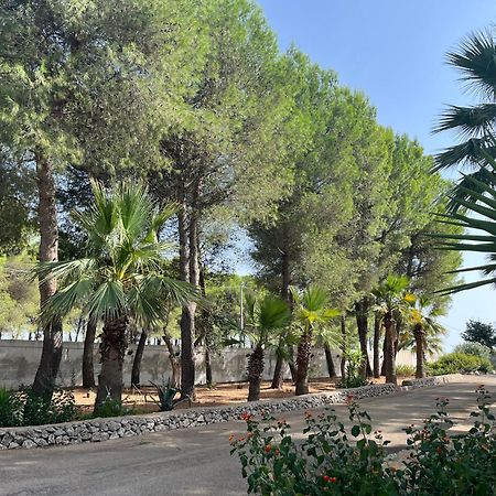 Casette Masseria La Camardia Sava Bagian luar foto