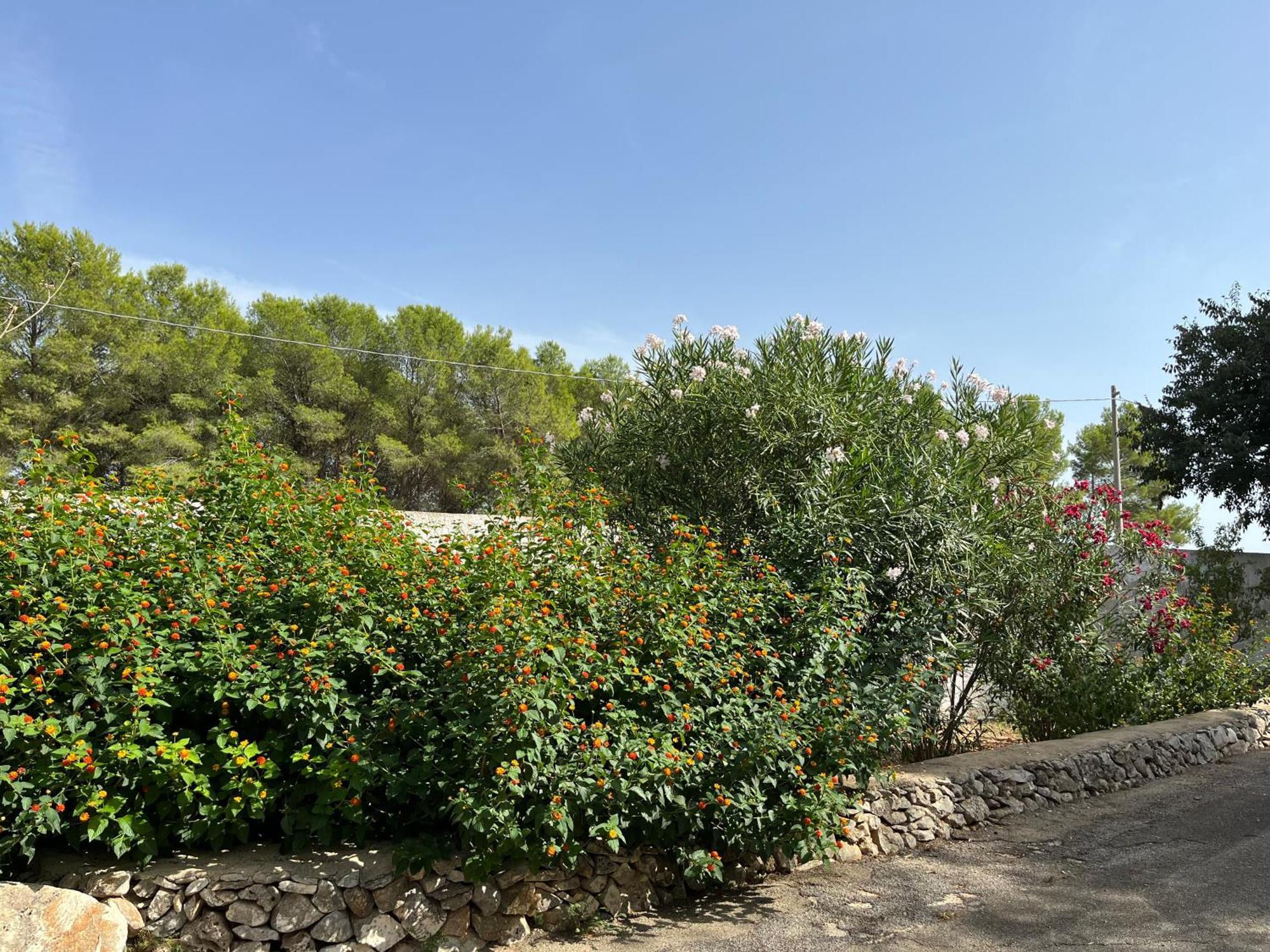 Casette Masseria La Camardia Sava Bagian luar foto