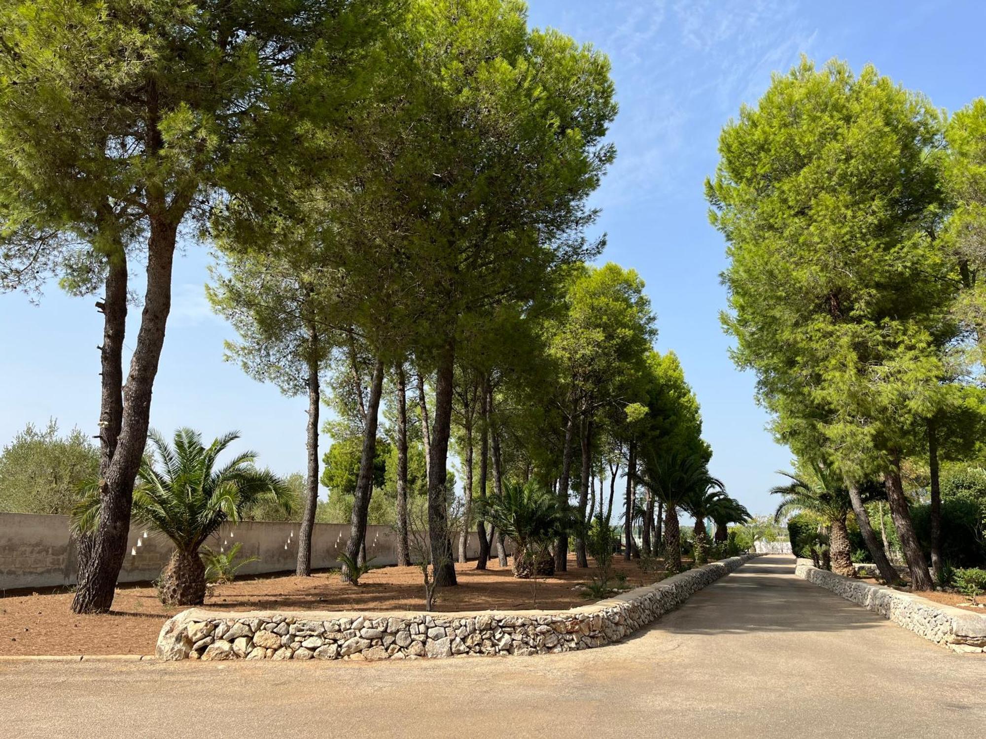 Casette Masseria La Camardia Sava Bagian luar foto
