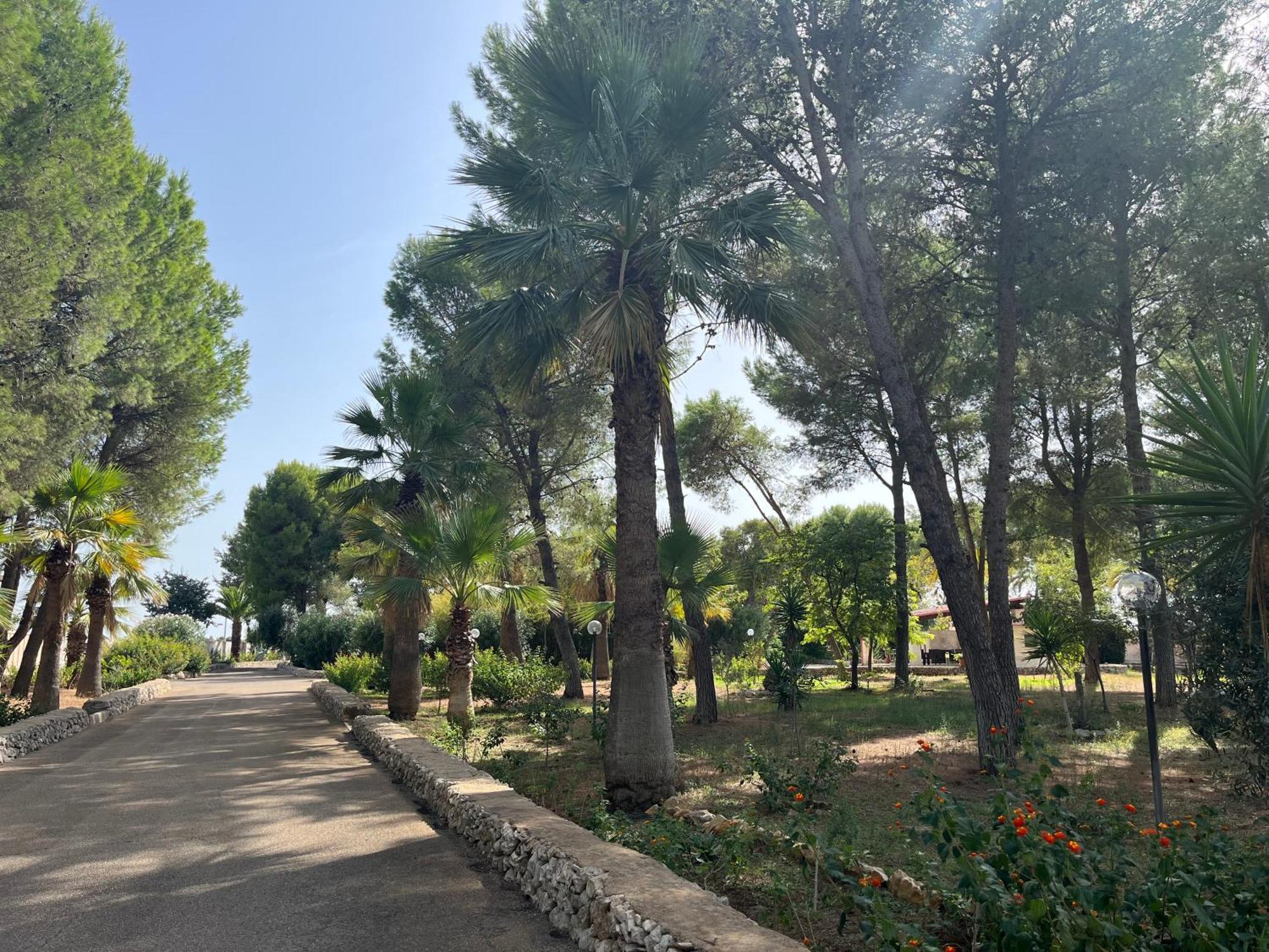 Casette Masseria La Camardia Sava Bagian luar foto