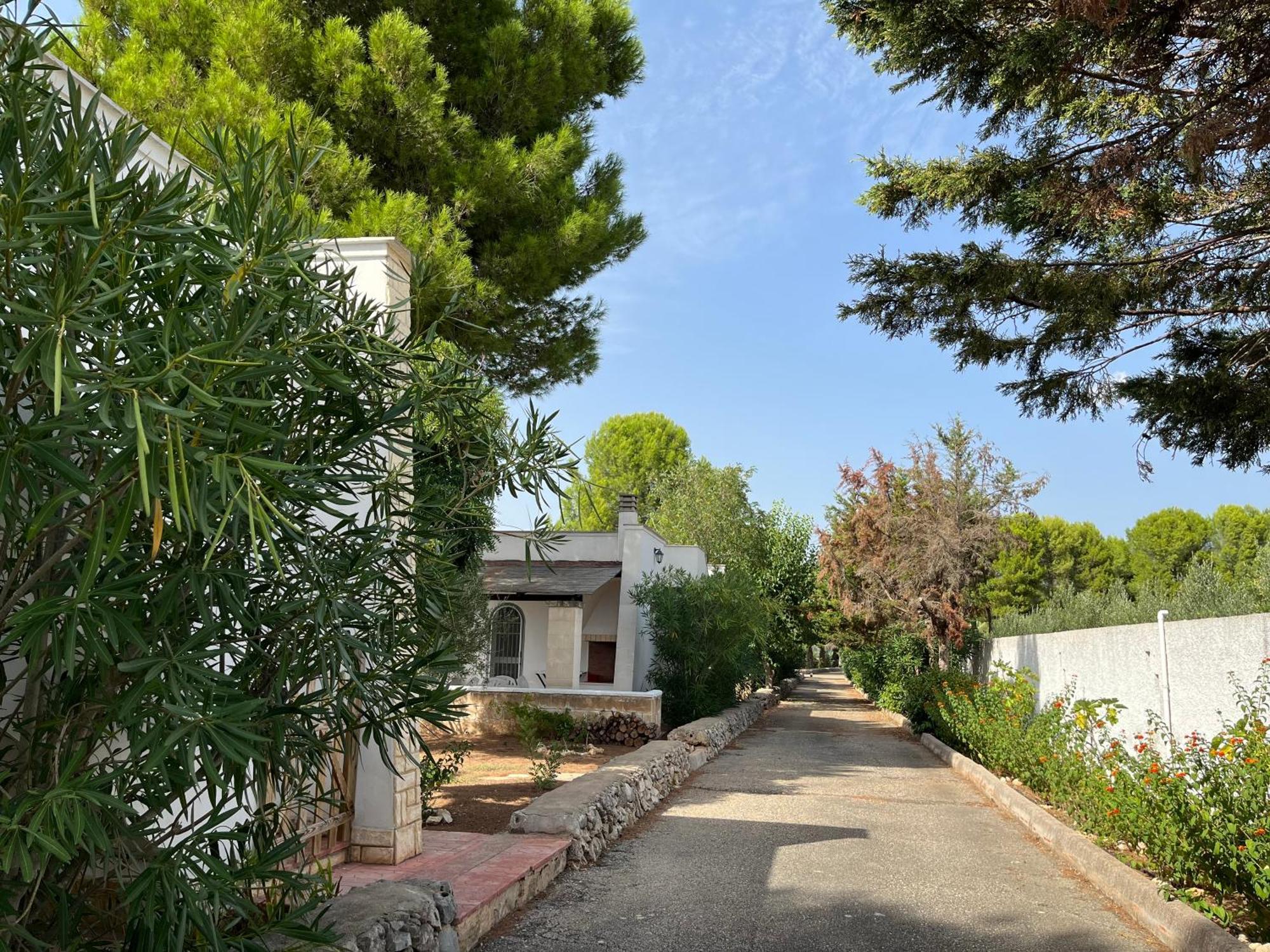 Casette Masseria La Camardia Sava Bagian luar foto
