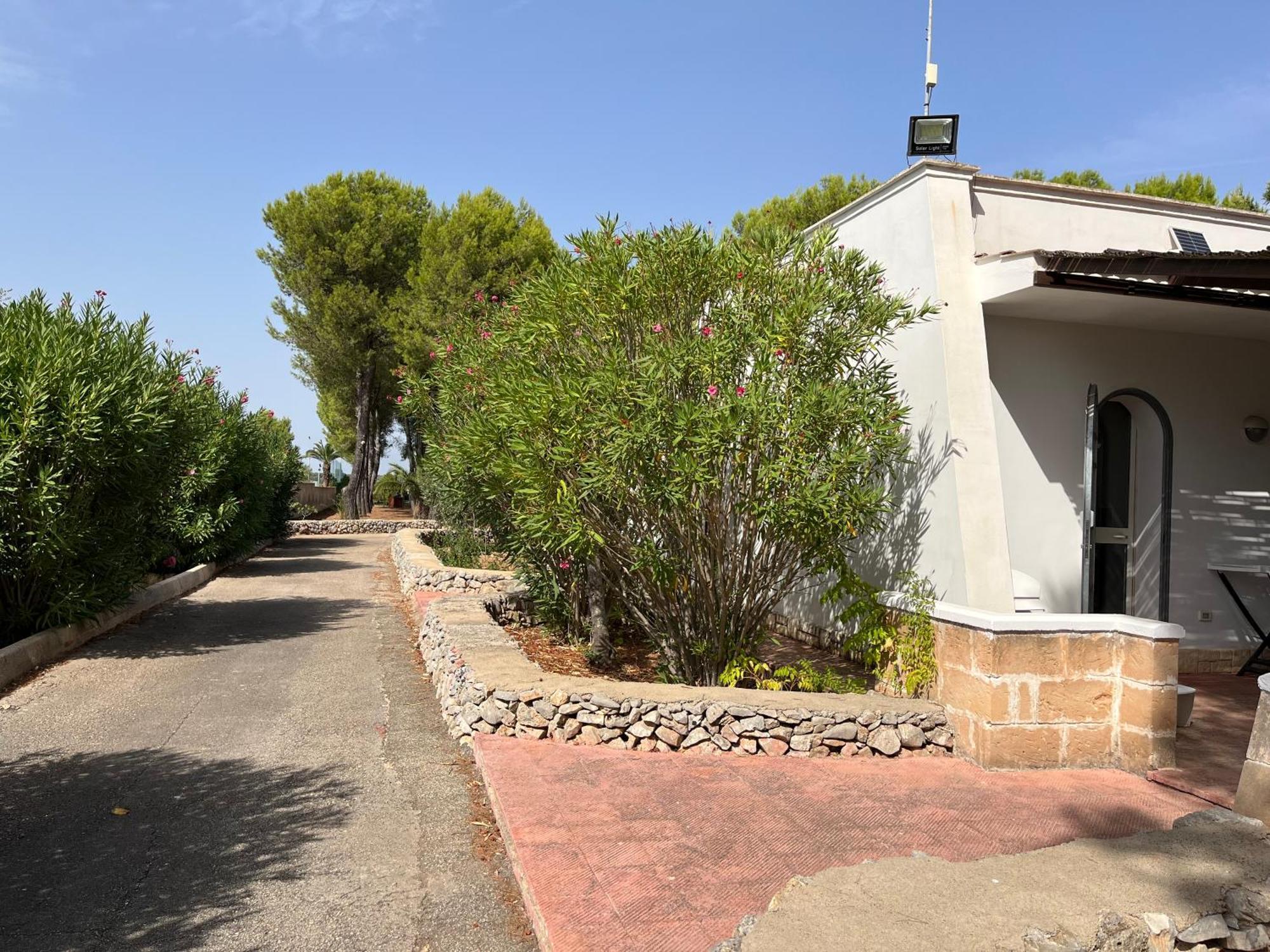 Casette Masseria La Camardia Sava Bagian luar foto