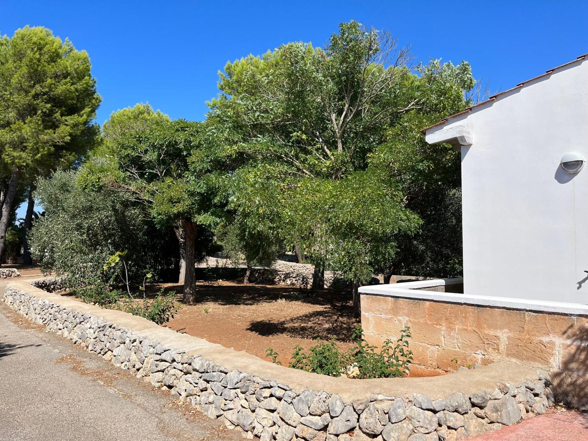 Casette Masseria La Camardia Sava Bagian luar foto