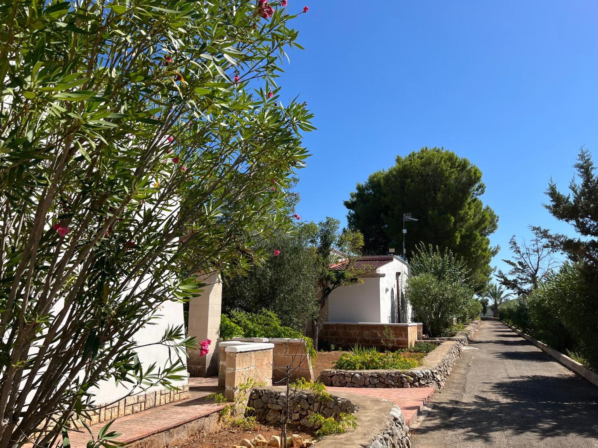 Casette Masseria La Camardia Sava Bagian luar foto
