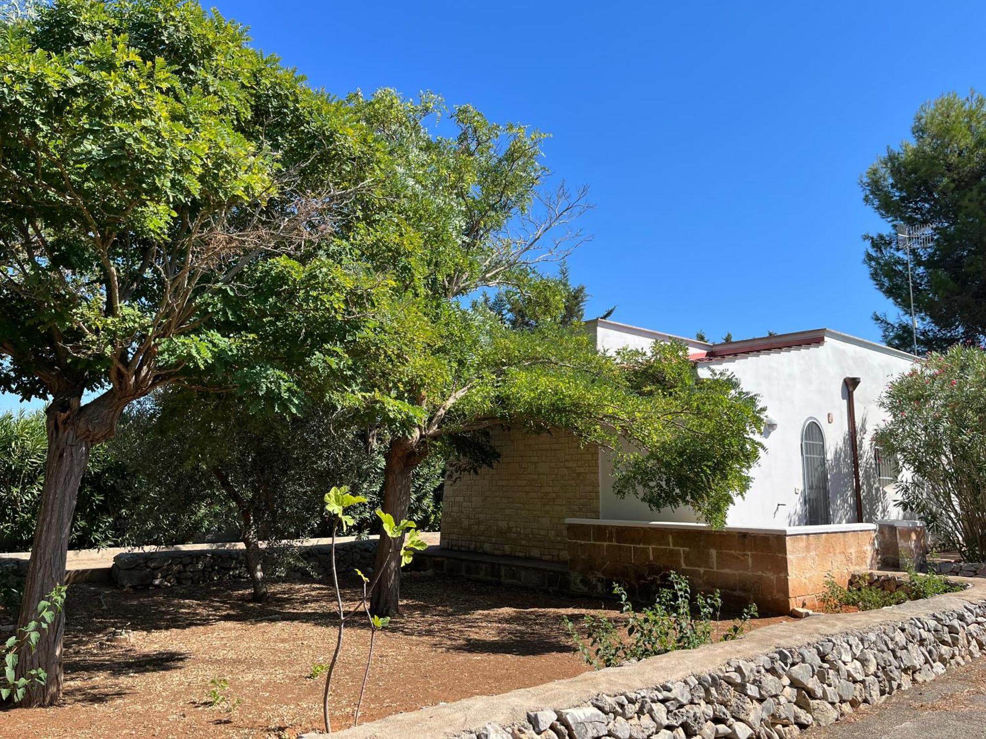 Casette Masseria La Camardia Sava Bagian luar foto