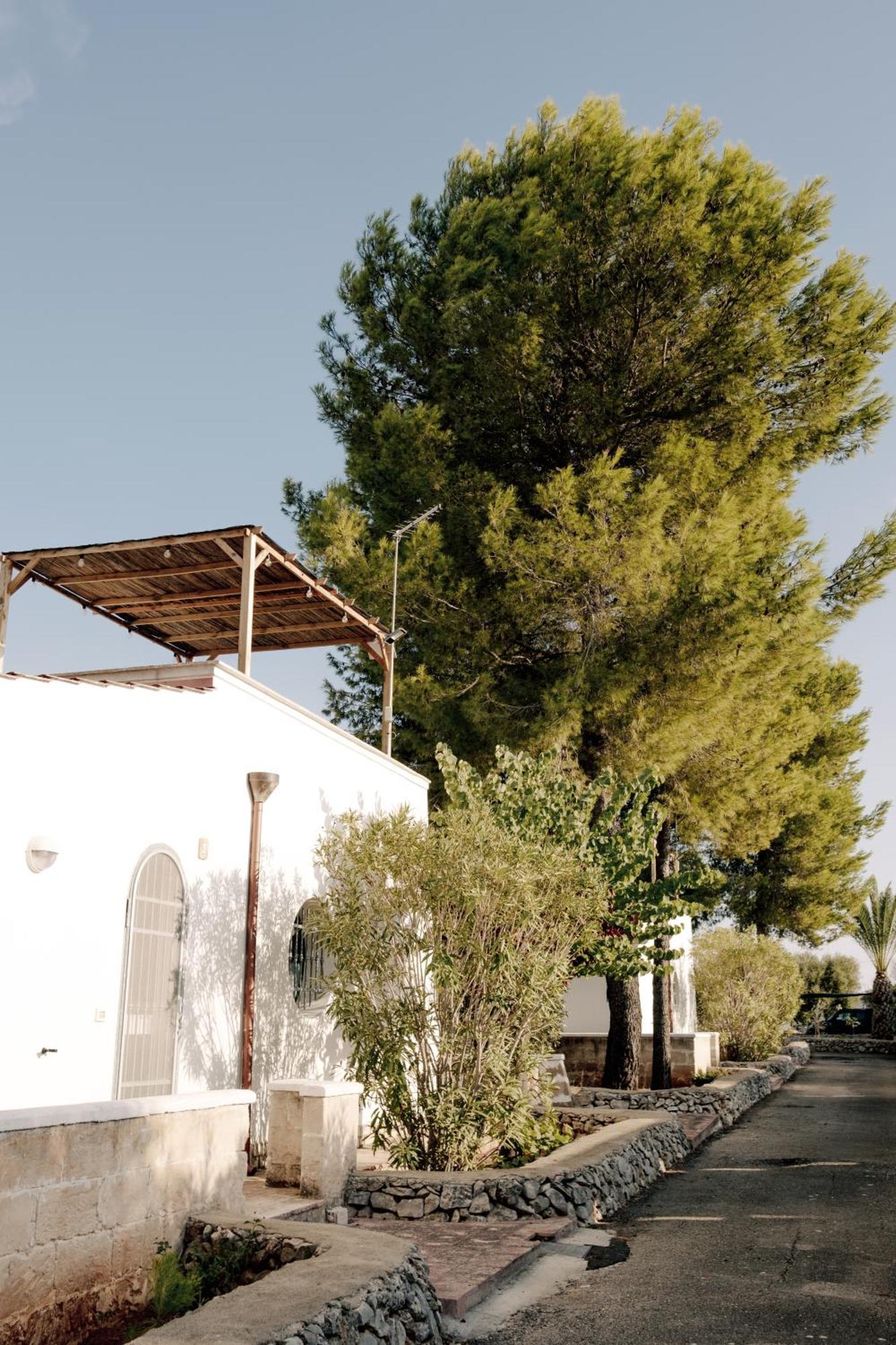 Casette Masseria La Camardia Sava Bagian luar foto